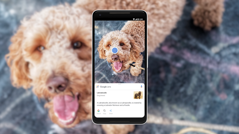 Jadi Fitur Baru di Google Lens, AR Translate Secanggih Apa?