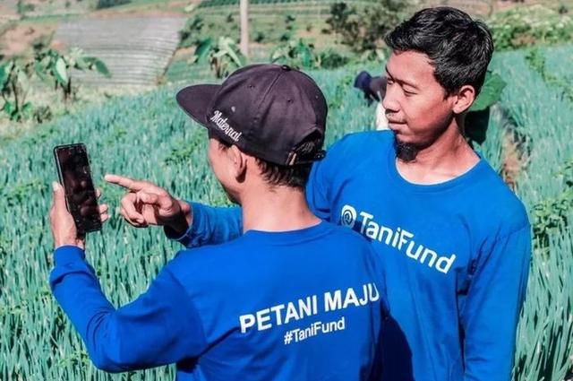 Konflik Tak Kunjung Reda, Startup TaniFund Pilih Bubar 