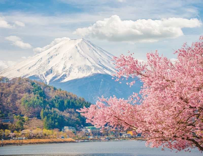 Jalan-jalan Murah ke Jepang Saat Musim Semi? Ini Caranya!