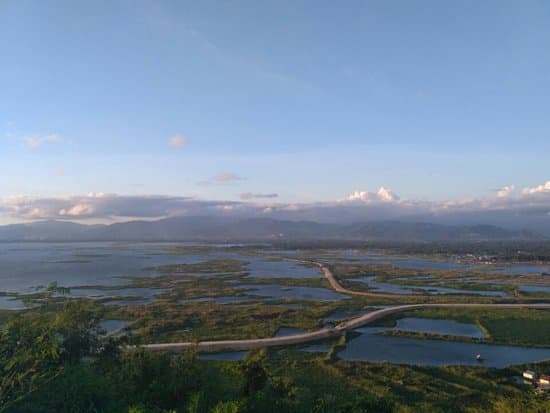 Ke Danau Limboto Gorontalo, Burung dari Berbagai Belahan Dunia Bermigrasi