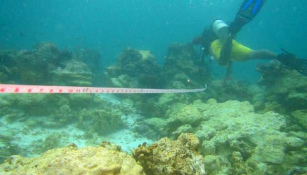 Kerusakan Terumbu Karang Raja Ampat 18.882 Meter Persegi