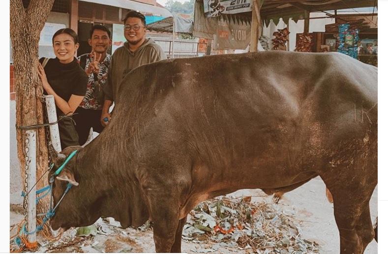 Berkurban, Awkarin Mengaku Hampir Mati Diseruduk Sapi