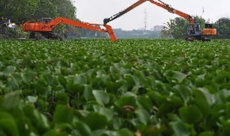 SAR Evakuasi 17 Wisatawan yang Terjebak Eceng Gondok