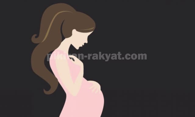 Pola Asuh Seribu Hari Pertama Anak Penentu Kecerdasan