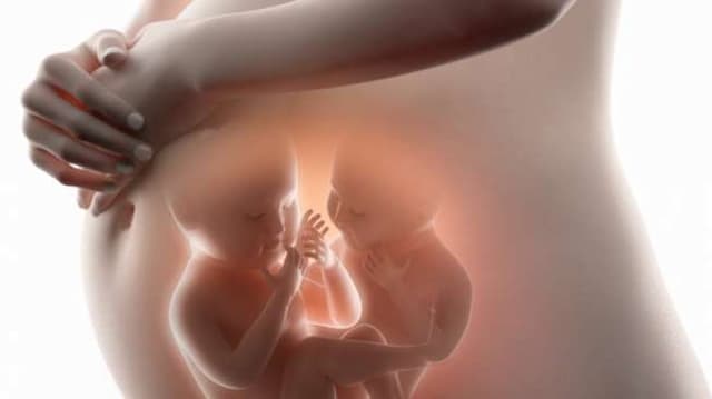 Gennya Diubah Sebelum Lahir, Bayi Kembar Ini Tak Sengaja Jadi Cerdas