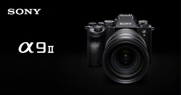 Sony a9 II: Harga 60 Jutaan, Semakin Canggih dengan Fitur Voice Memo dan Konektivitas Super Cepat