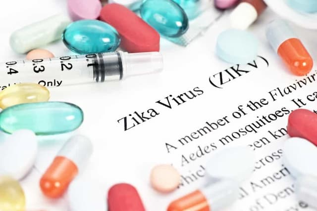 Cara Mencegah Virus Zika Saat Hamil