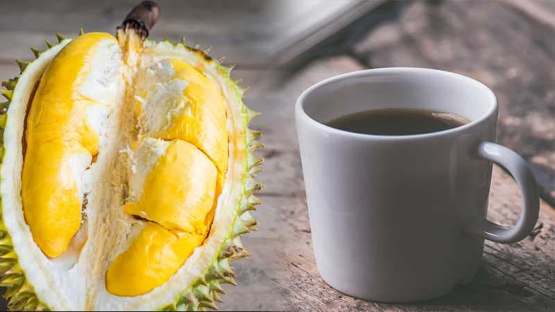 Wah, Kopi Durian Bikin Sakit 7 Orang, Ternyata...