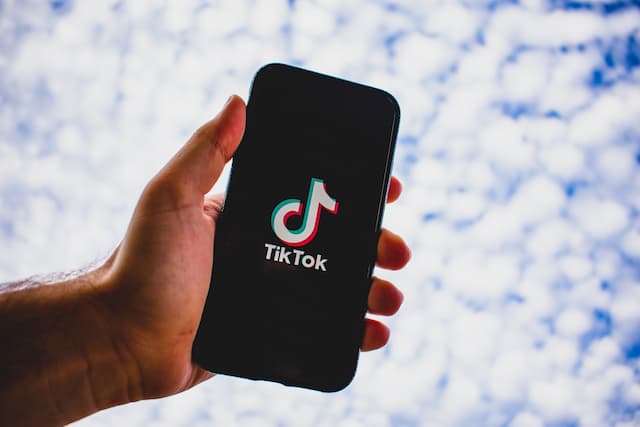 Rekomendasi Website untuk Download Video TikTok Gratis