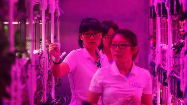 Empat Mahasiswa China Jajal Hidup di 'Planet' Lain